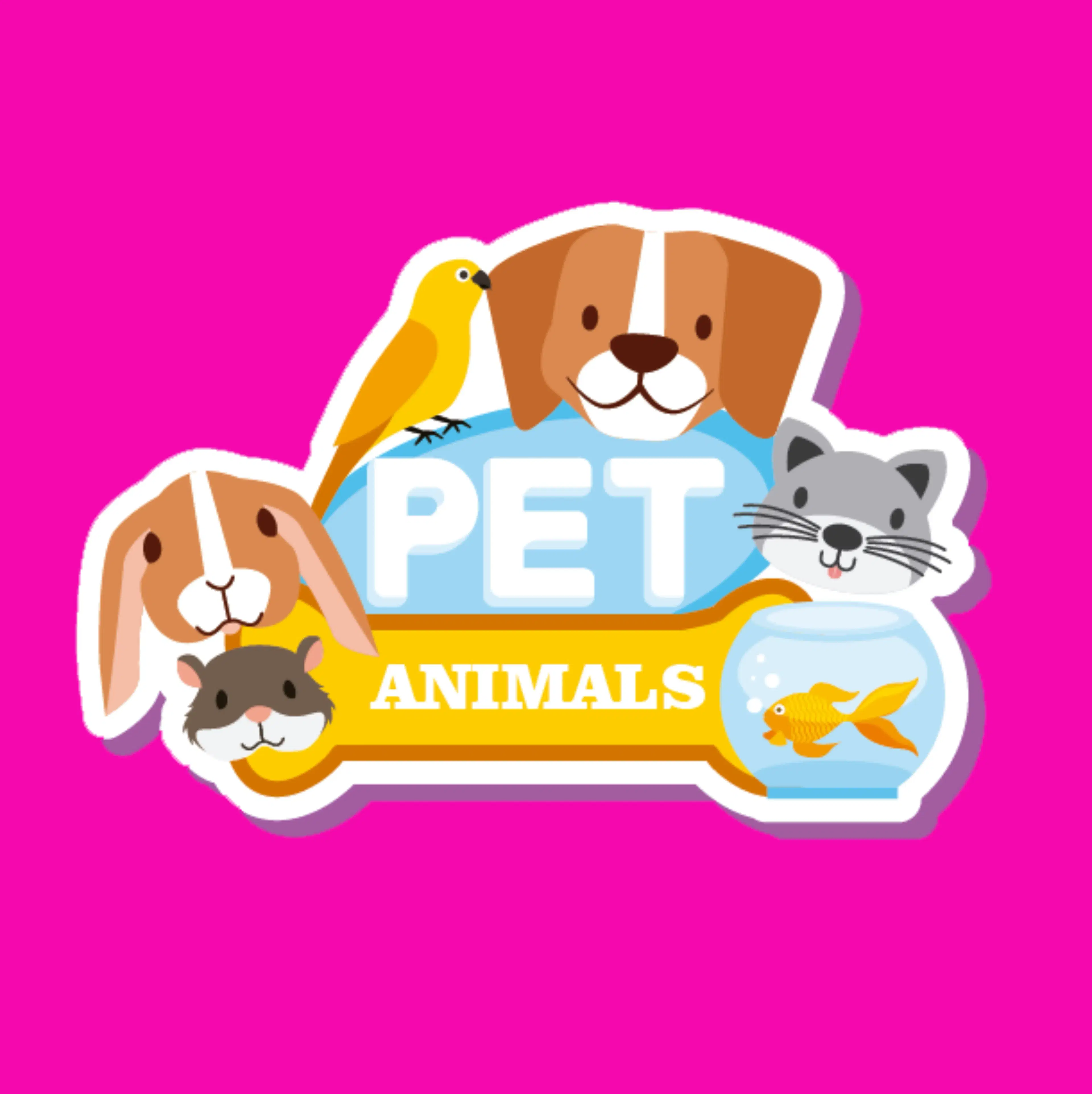 Animals And Pets